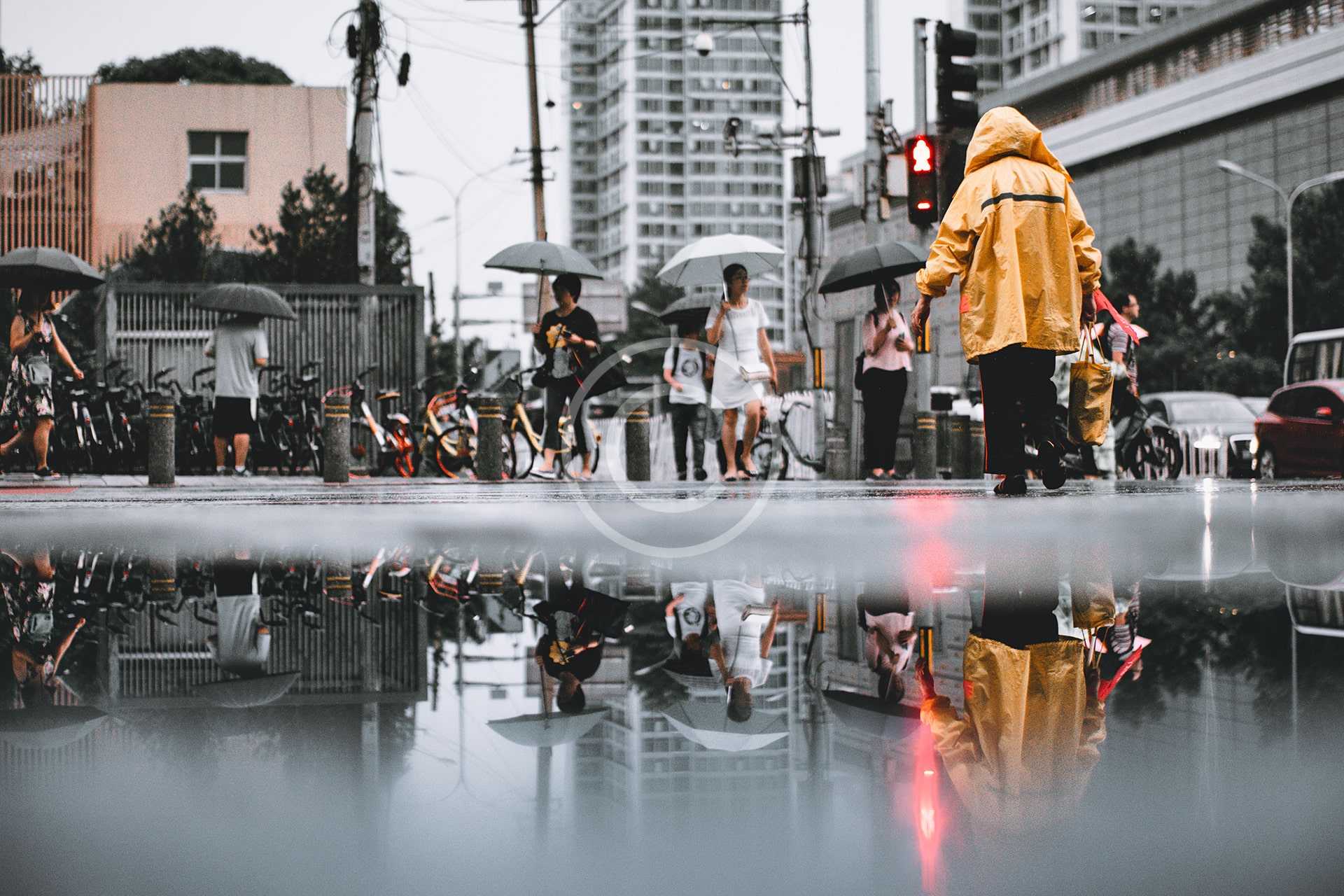 Transforming the Energy: Laws of Physics in a Big City